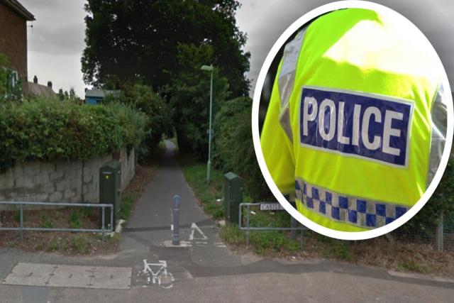 The woman was harassed by a man while walking through an alleyway in Beccles <i>(Image: Google/PA)</i>