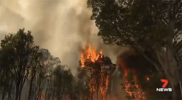 The fire forced the evacuation of homes and businesses. Source: 7 News