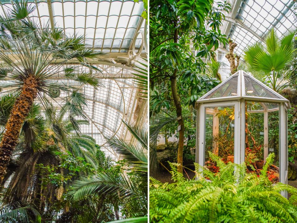 Inside the Palm House