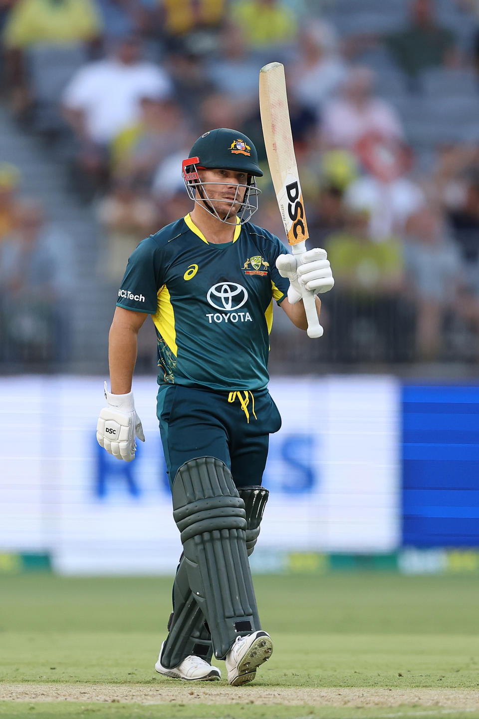 David Warner raises his bat.