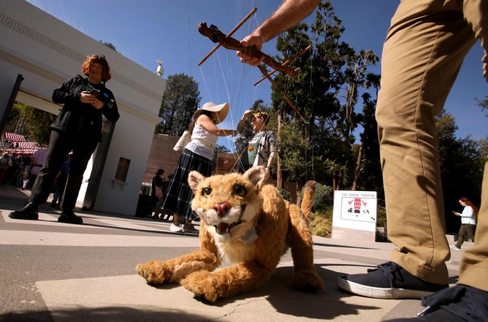 Brian Meredith, with the Natural History Museum's Manaer of Performing Arts, operates a string puppet of P-22.