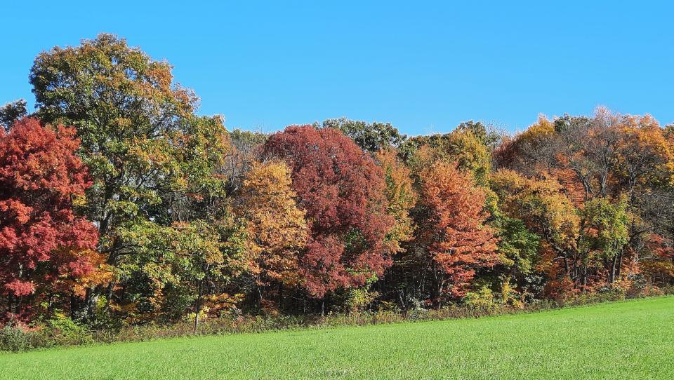 Sunny days in mid October are filled with colorful scenes like these trees in rural Somerset County.