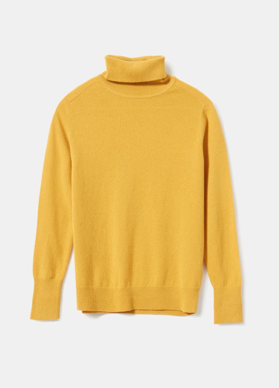 Everlane Cashmere Turtleneck