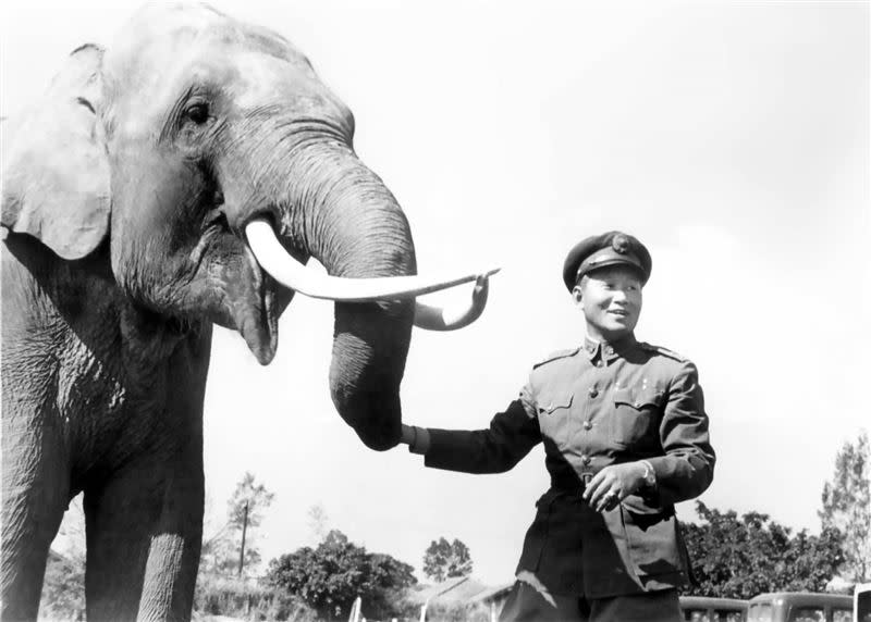 孫立人將軍與大象林旺在陸軍官校。民國39年（羅超群攝影，羅廣仁提供）
