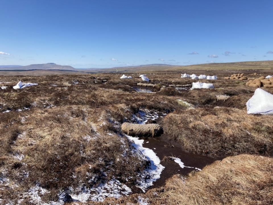 The Northern Echo: A coir log across an erosion channel at Fleet Moss in the Yorkshire Dales.