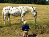 <p>Le petit Léo s’émerveille devant un cheval pendant le passage de la famille en Auvergne.<br> Crédit photo : Instagram @darelist.family </p>