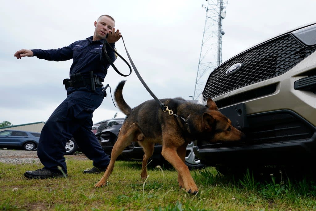Representational: Drug-sniffing dogs found multiple bags containing what an initial analysis says was fentanyl  (AP)