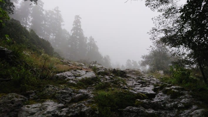 El Chico gana premio por sus actividades de montaña | Foto: Especial