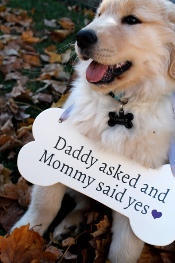 A cute pup&nbsp;and a sweet sign is a&nbsp;winning&nbsp;combination.&nbsp;