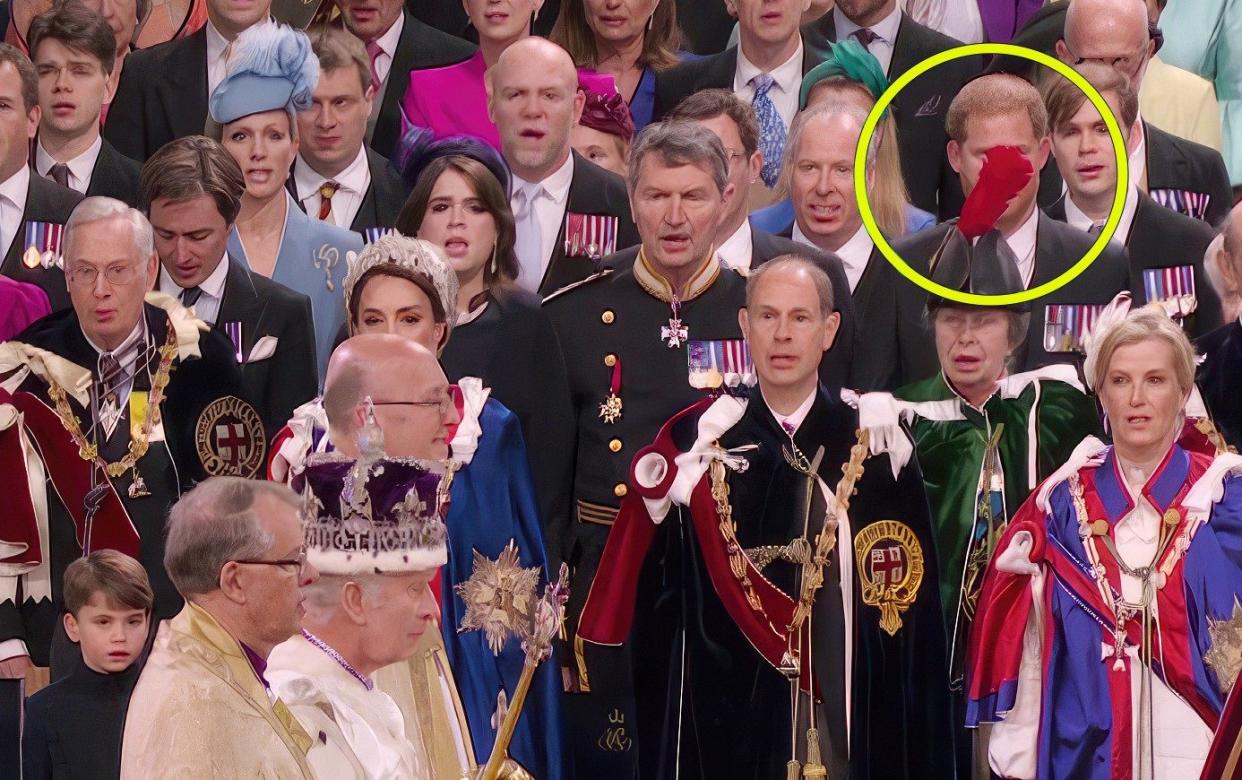 Prince Harry's view of King Charles is obscured by the huge feather