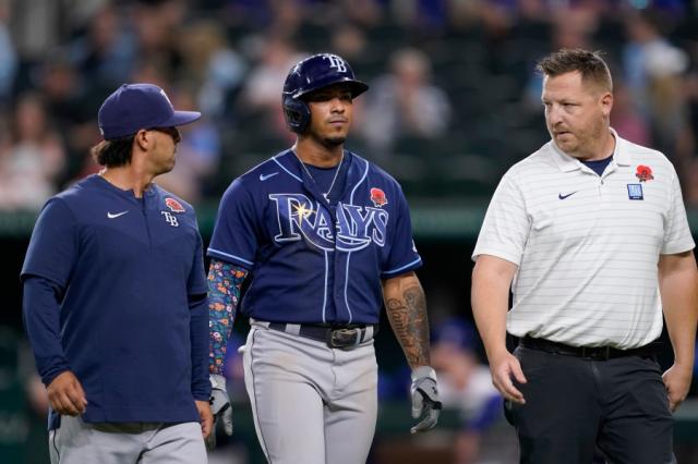 Rays OF Kevin Kiermaier pulls off perfect engagement