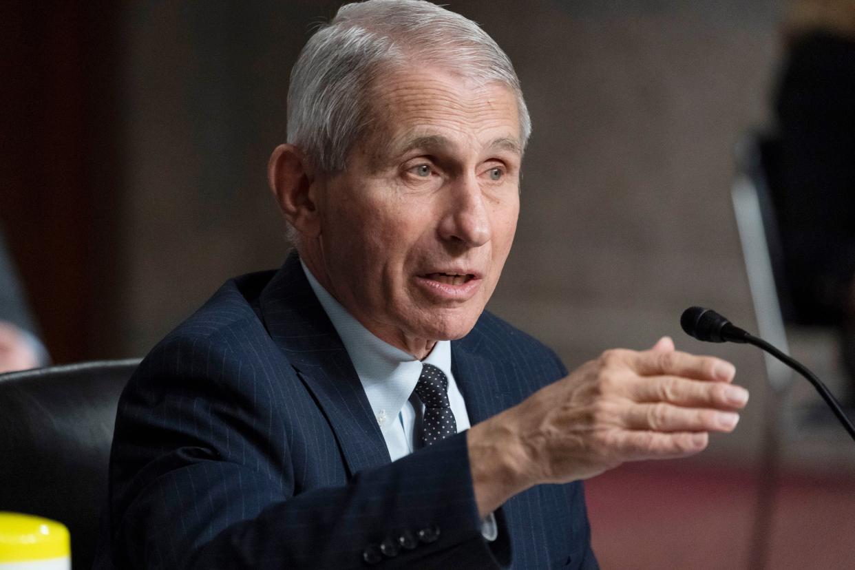 Dr. Anthony Fauci, director of the National Institute of Allergy and Infectious Diseases