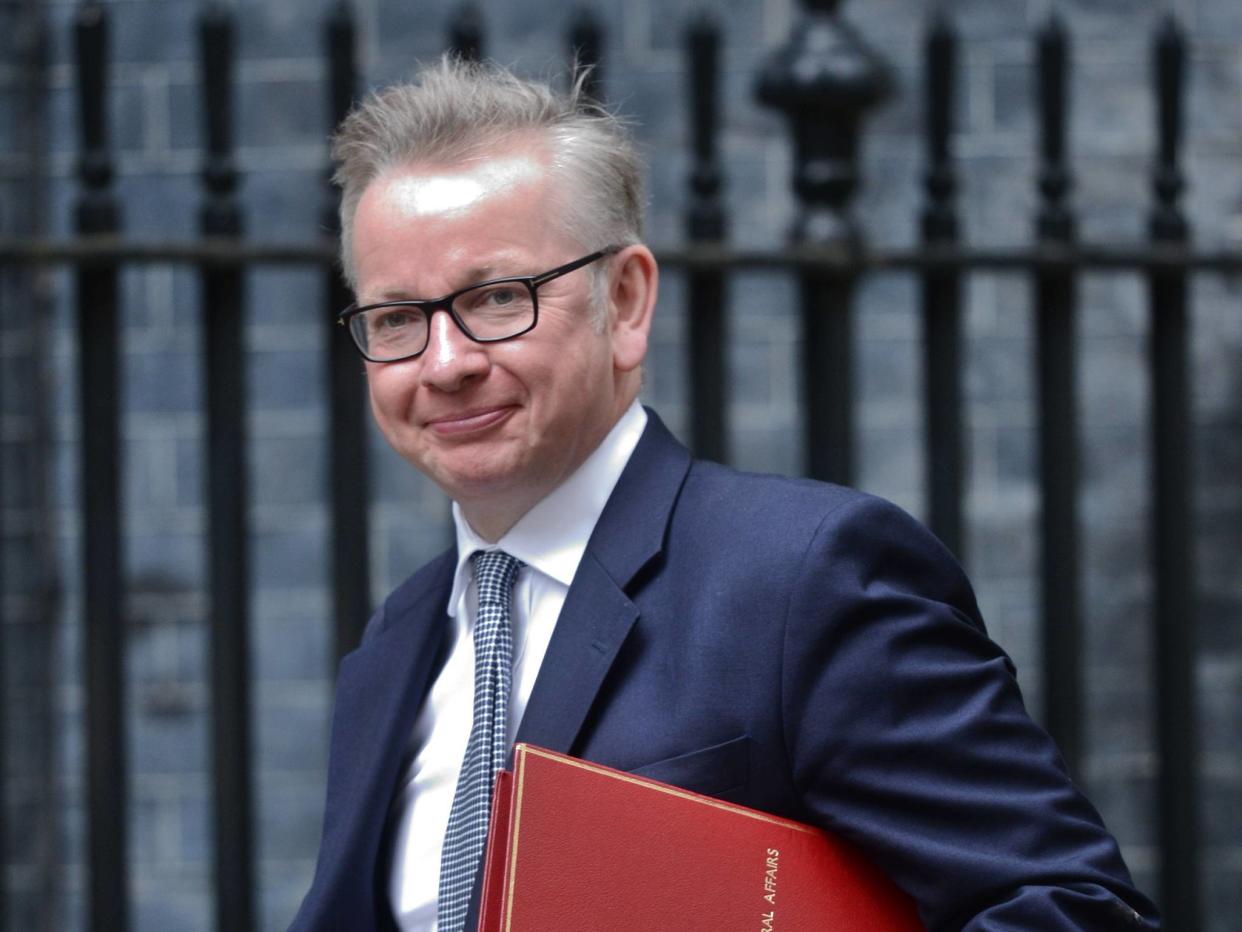 Environment Secretary Michael Gove arrives at 10 Downing Street: PA