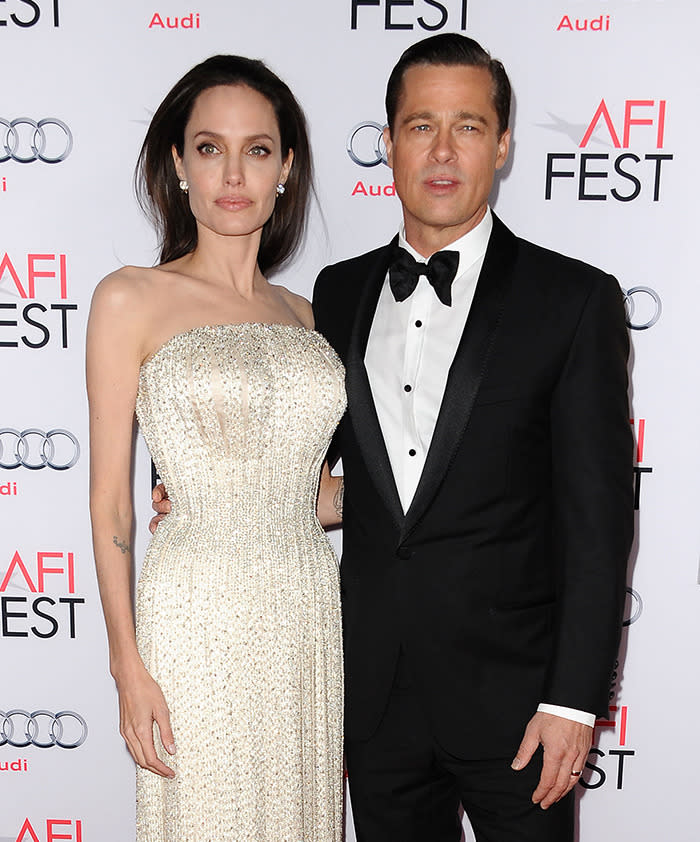 <p>Angelina Jolie and Brad Pitt's arguments are 'absurd'</p>