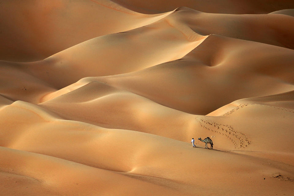 <p>An Emirati man walks with his camels across the Hameem Desert, west of the Gulf Emirate of Abu Dhabi, Feb. 24, 2017. (Photo: Karim Sahib/AFP/Getty Images) </p>