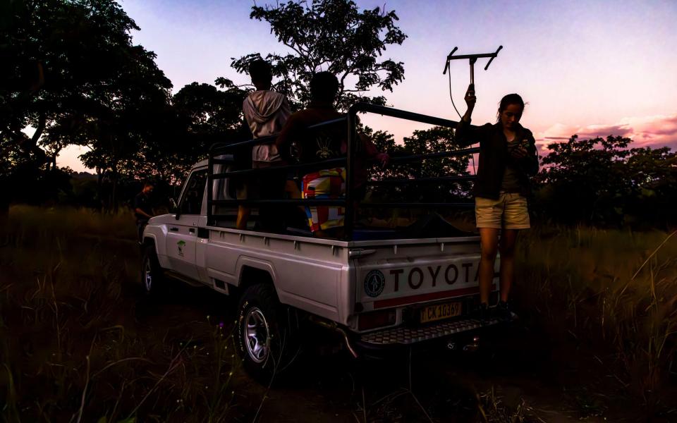 A wildlife team in Majete National Park searching for a lion at night