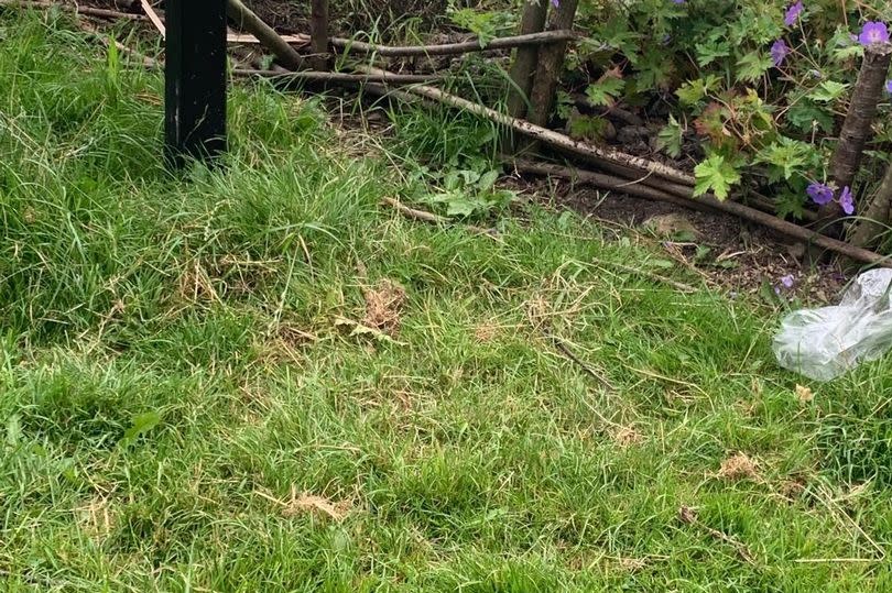 Damage to memorial in Lee Rigbys honour in Alkrington Woods