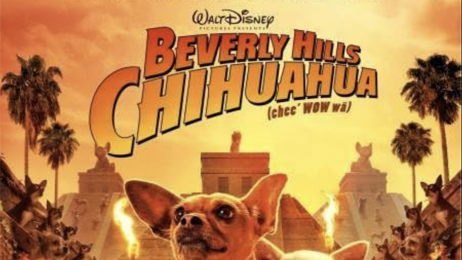 beverly hills chihuahua