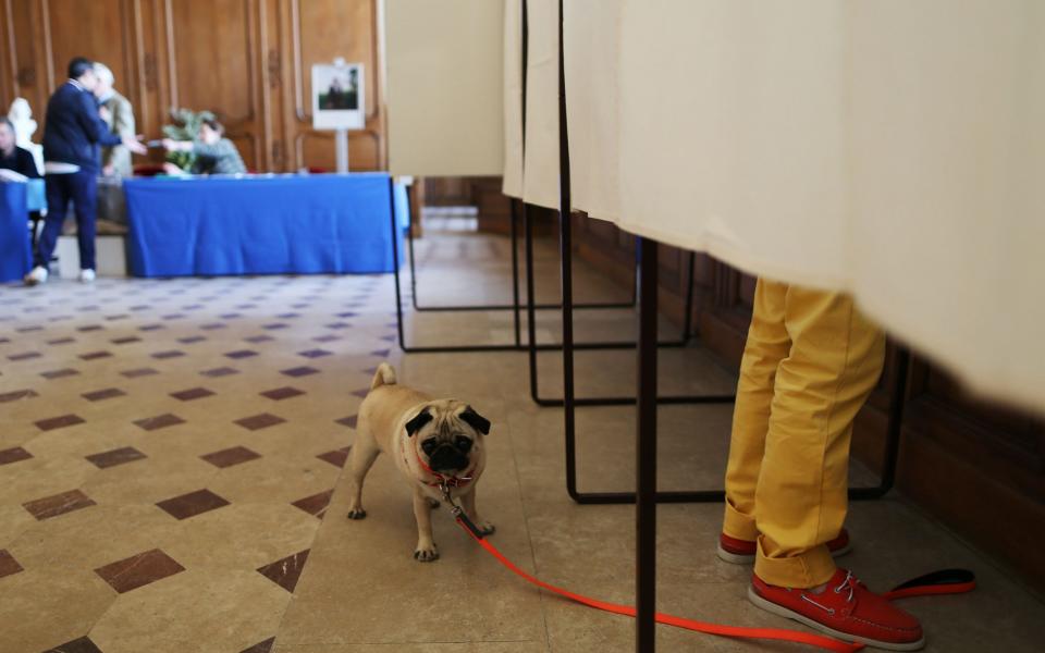 A dog waits outsode a polling booth as his owner prepares to cast his ballot in Caen, northwestern France - Credit:  CHARLY TRIBALLEAU/AFP