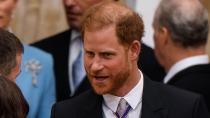 <p> The royals usually try to keep the details of their lives as private as possible, so Prince Harry made a big impact when he wrote one of the first memoirs from a royal family member, with his book Spare, released in January 2023. </p> <p> The tell-all novel was largely a documentation of Harry’s life thus far, but it also shared many intimate details of the lives of the royal family, and how people like his brother, Prince William, and father, King Charles, reacted to various moments in his life. A few of the most notable stories in Spare include the moment Prince William physically attacked Harry in his Nottingham Cottage home and the moment Harry urged his father not to marry Camilla. </p>