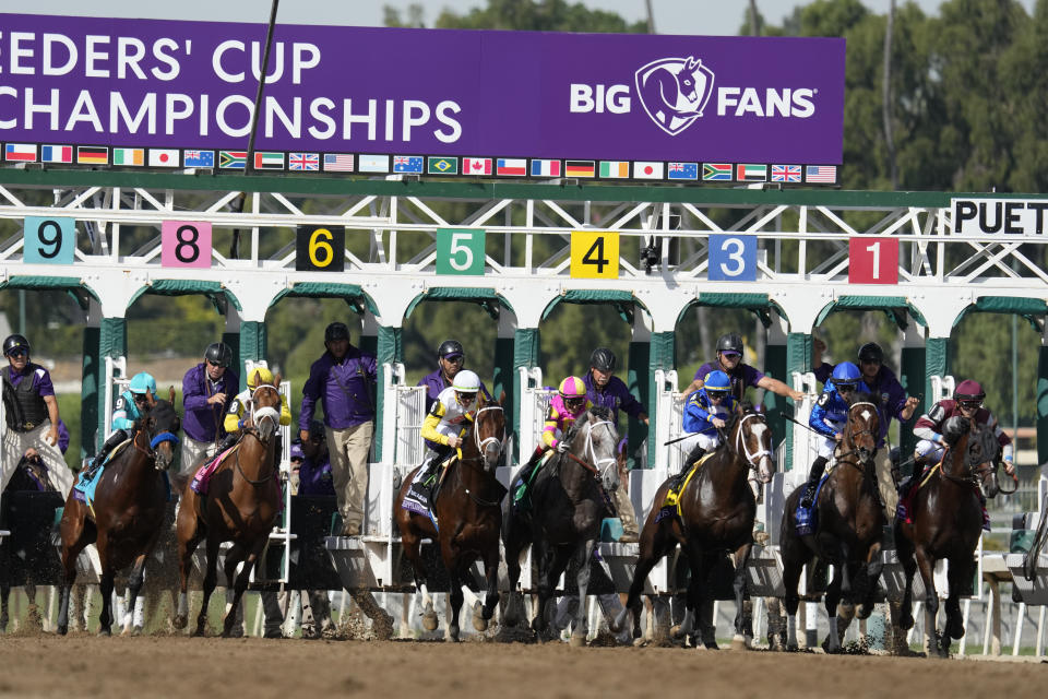 Horses and jockeys come out of the gate during the Breeders' Cup Dirt Mile horse race Saturday, Nov. 4, 2023, at Santa Anita Park in Arcadia, Calif. (AP Photo/Ashley Landis)