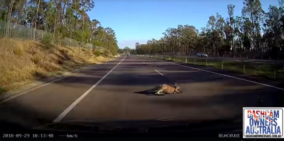 The confronting video has been viewed close to 120,000 times so far. Source: Dash Cam Owners Australia/ Facebook