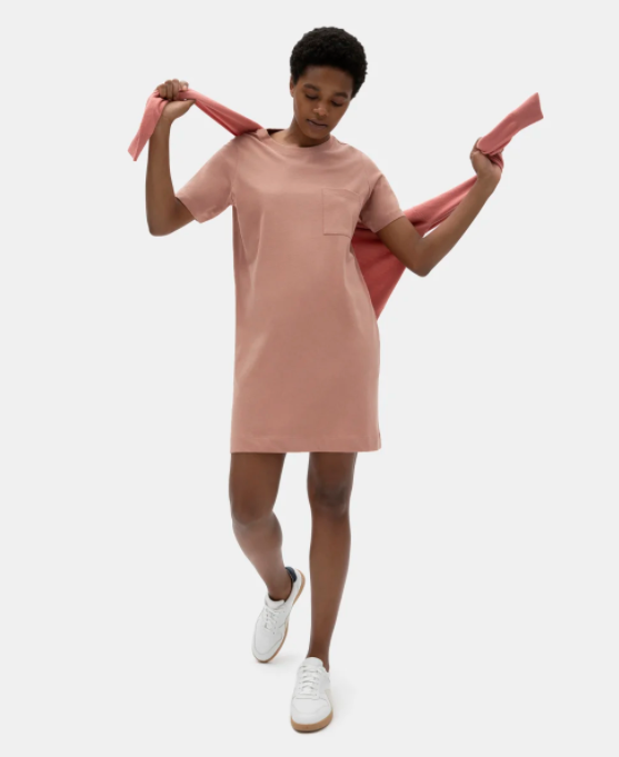 Everlane The Weekend Tee Dress