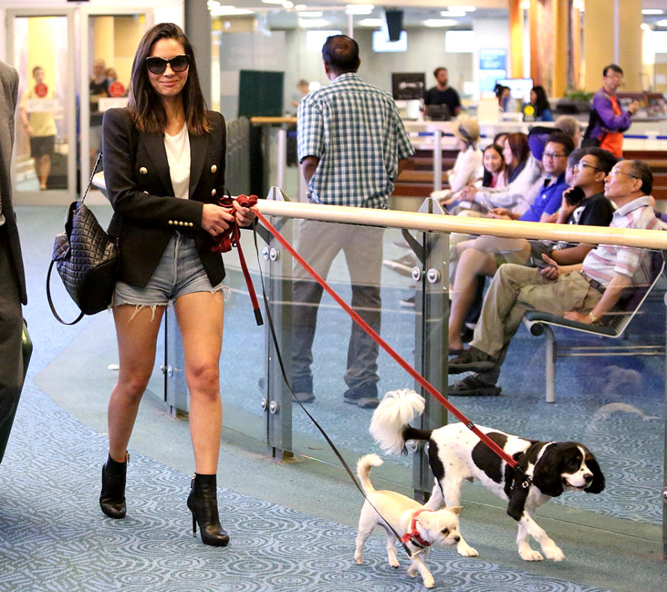 <p>Munn was pretty much rocking the best airport style ever at Vancouver International. Sure, her outfit was cool, but her pups, Frankie and Chance, are what really sealed the deal. (Photo: JKING/BACKGRID) </p>