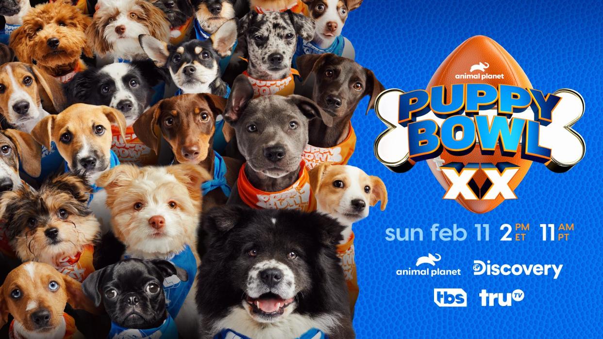  Puppy Bowl 2024 poster. 
