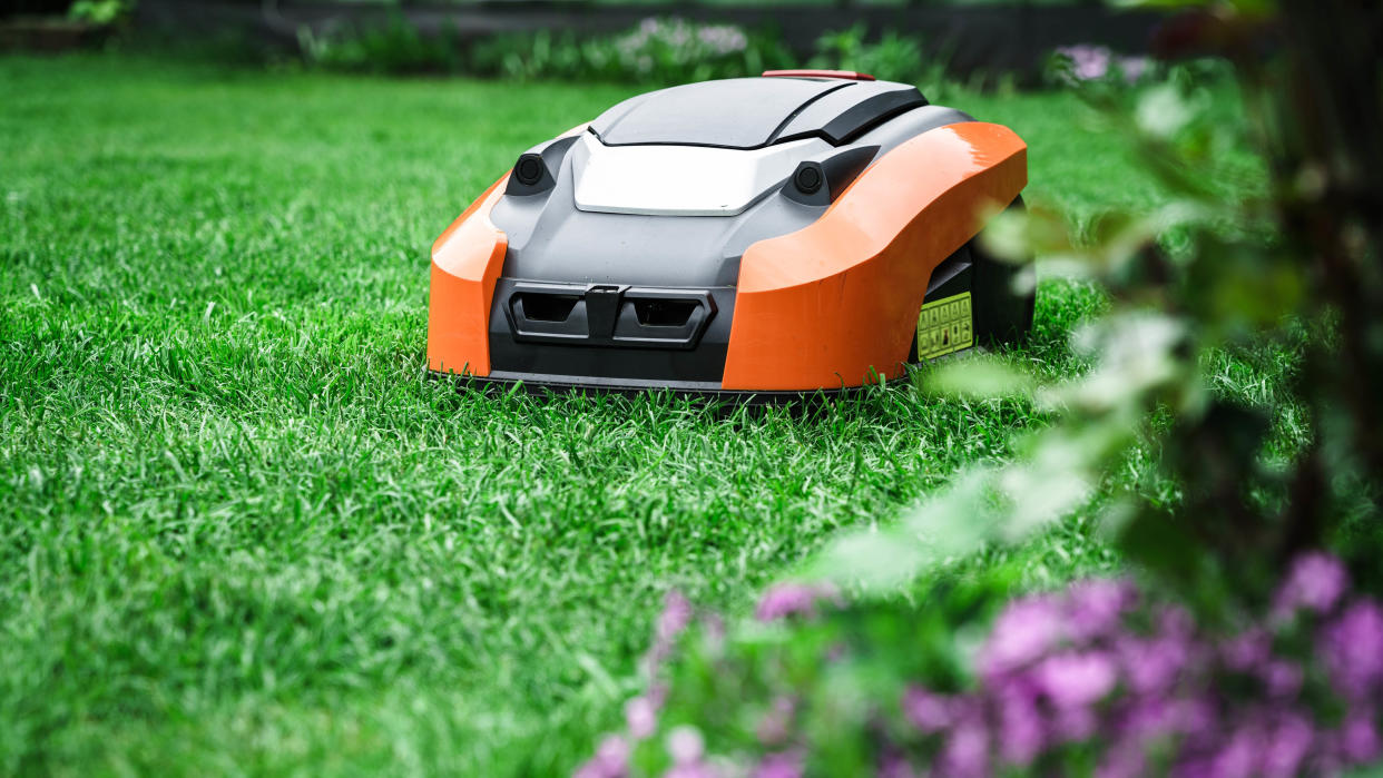  An orange robot lawn mower cutting the lawn around flower beds 