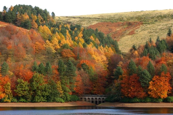 Signs of autumn are already beginning to show across the country and it's only the first of July!