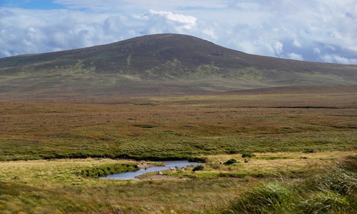 <span>The Flow Country became the first peat bog in the world to be granted world heritage site status by Unesco in July.</span><span>Photograph: Murdo MacLeod/The Guardian</span>