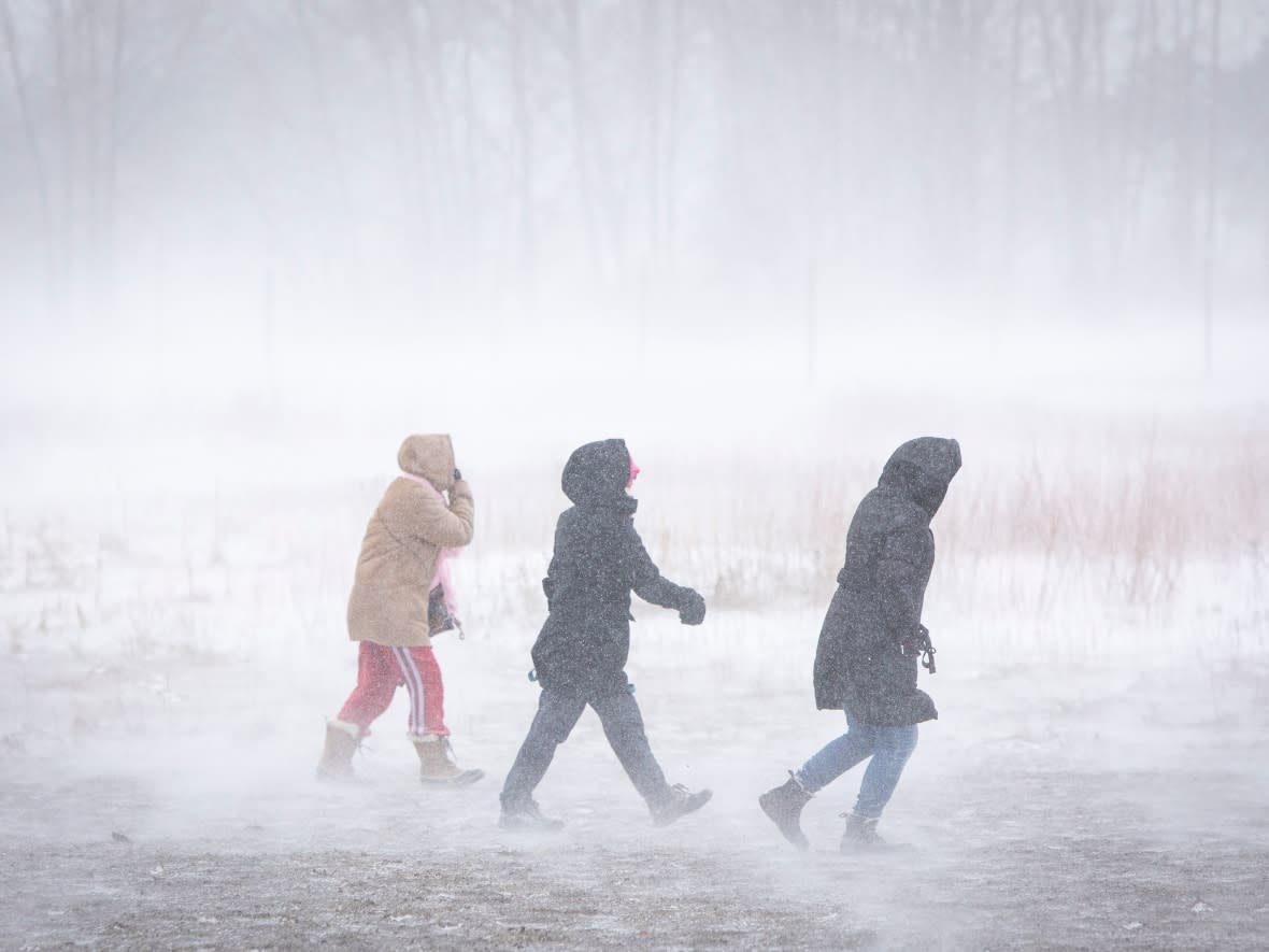 It could get blustery on Wednesday night and early Thursday as flurries combine with high winds to create blowing snow, Environment Canada says. (Evan Mitsui/CBC - image credit)