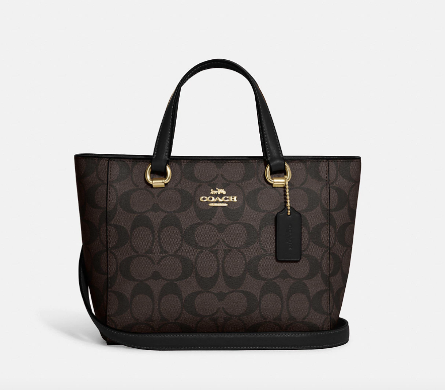 Alice Satchel in Signature Canvas Gold/Brown Black (Photo via Coach Outlet)