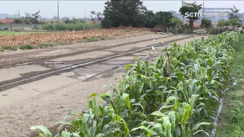 台南老地主身價破億，擁有多筆土地，結果分財產卻發生兄弟鬩牆。