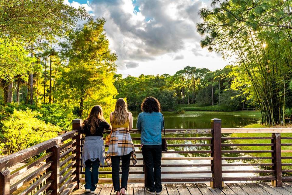 You can take a nice walk this Thursday at the Morikami Museum and Japanese Gardens for its monthly evening series, Sunset Stroll.