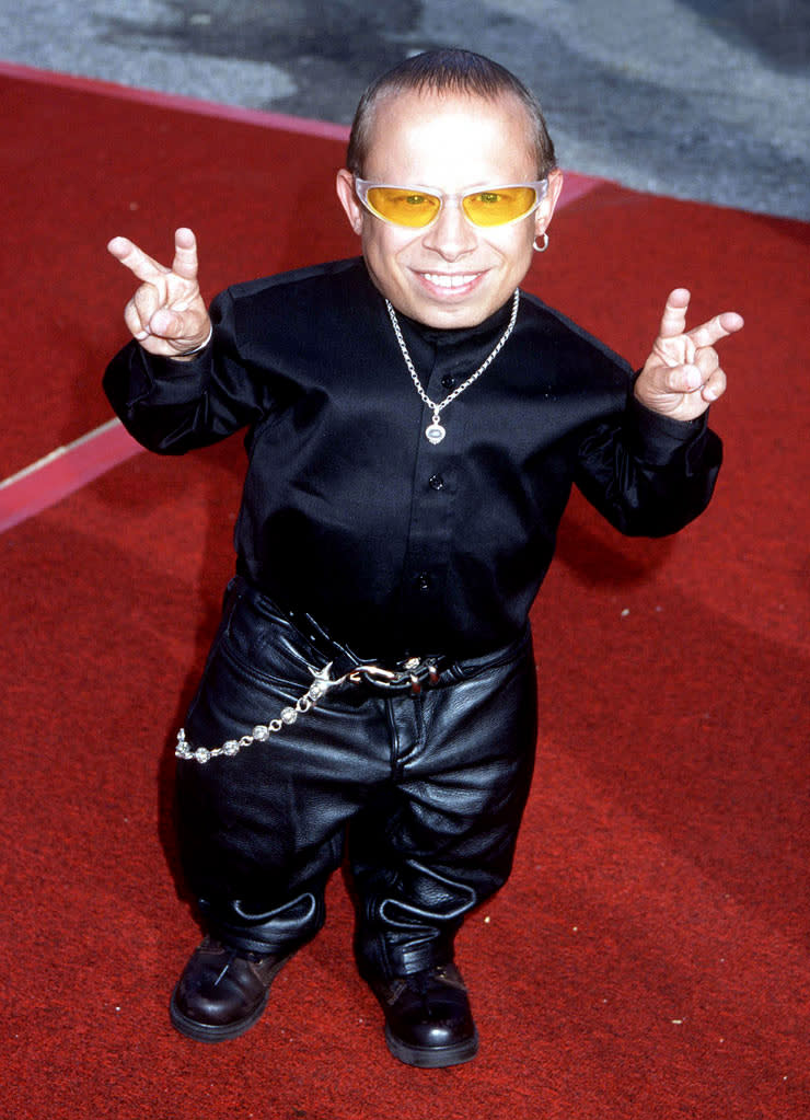 Verne Troyer