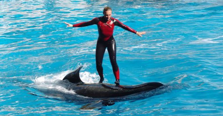 Dawn trabajaba en el parque SeaWorld de Orlando, Florida