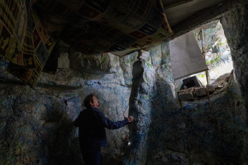 Los Angeles, CA - February 21: Tony Tucci, Chair and Co-founder of CLAW, Citizens for Los Angelles Wildlife stands in a cast concrete cave on a Laurel Canyon property which conservationists hope to purchase on Wednesday, Feb. 21, 2024 in Los Angeles, CA. (Brian van der Brug / Los Angeles Times)