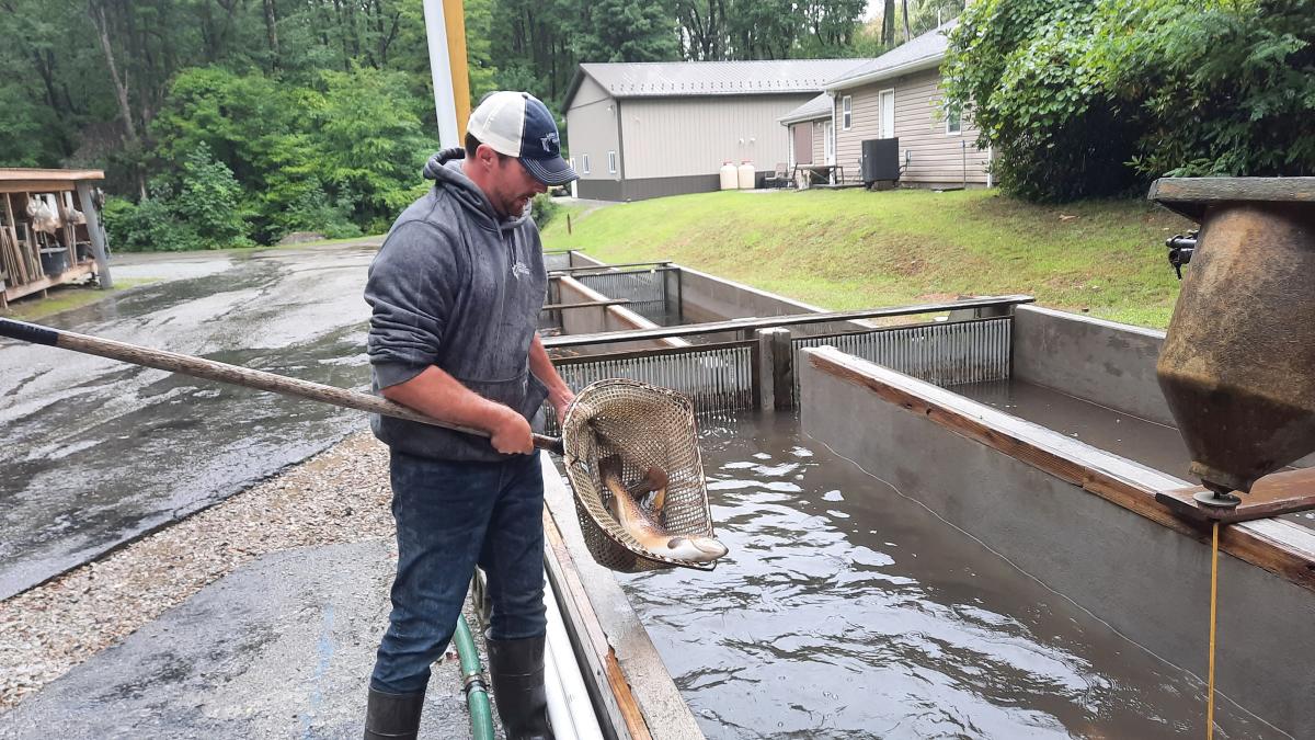 Fish and Boat Commission wants to know what fish you're stocking in