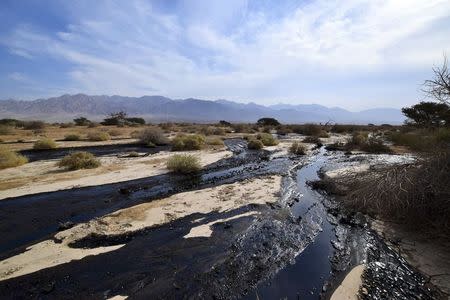 Crude oil streams through the desert in south Israel, near the village of Beer Ora, north of Eilat December 4, 2014. REUTERS/Yehuda Ben Itach