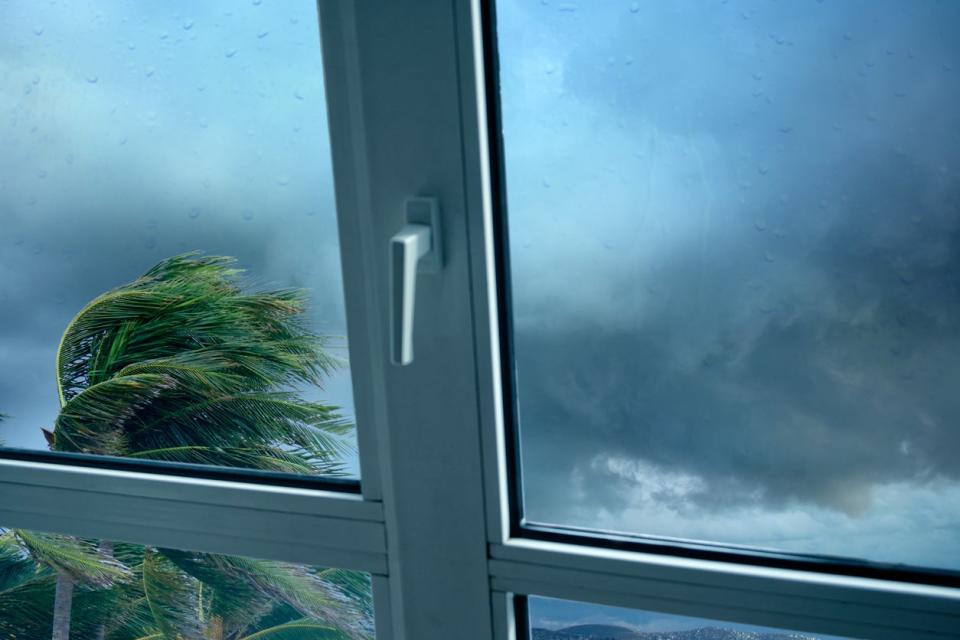 cost of hurricane windows vs regular windows