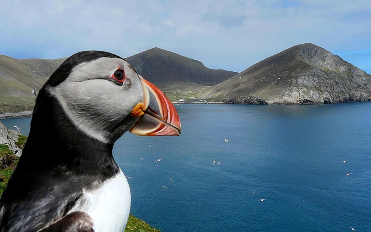 The RSPB has suggested the government uses less biodiverse land for solar panels and onshore wind rather than relying on offshore - National Trust