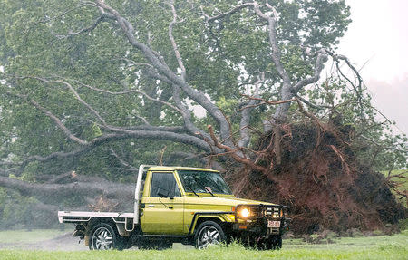 Rain can be seen as a vehicle drives past a tree that was uprooted due to winds from Tropical Cyclone Marcus in the Northen Territory capital city of Darwin in Australia, March 17, 2018. AAP/Glenn Campbell/via REUTERS