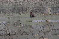 In this April 6, 2020, photo, a worker tries to remove rotting aquatic tubers known as lotus roots in the Huangpi district of Wuhan in central China's Hubei province. Chinese leaders are eager to revive the economy, but the bleak situation in Huangpi in Wuhan's outskirts highlights the damage to farmers struggling to stay afloat after the country shut down for two months. (AP Photo/Ng Han Guan)