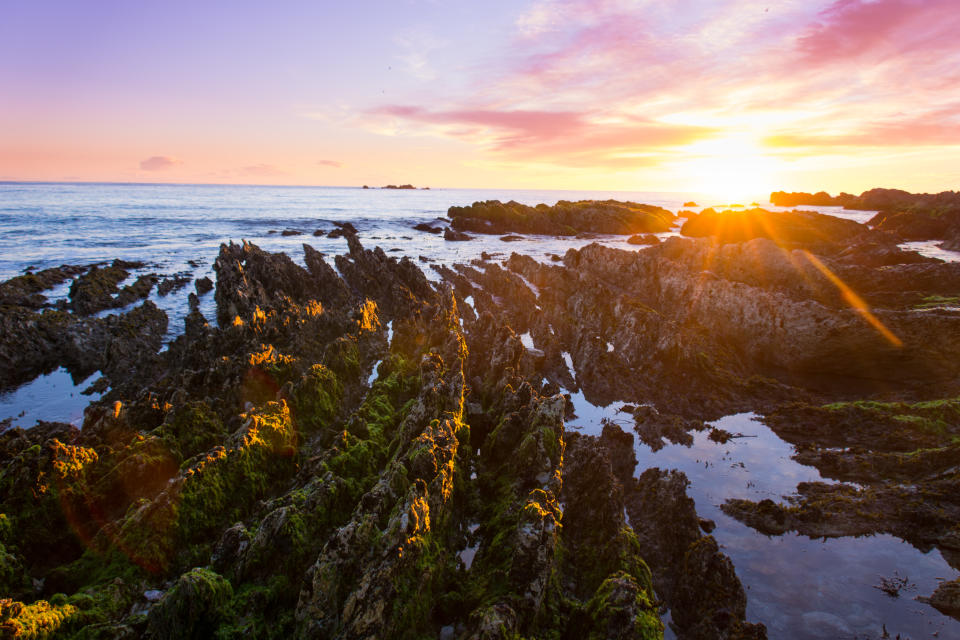 Meditate with Mindful Journeys (Photo: Tourism New Zealand)