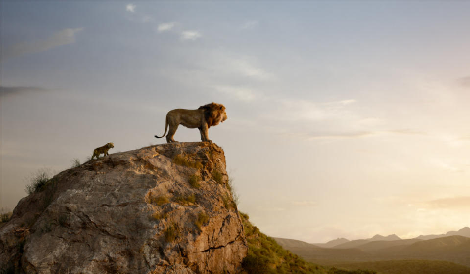 The Lion King (Credit: Disney)