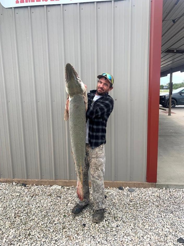 Danny Smith II displays a 39.5-pound alligator gar, measuring 4 feet, 6 inches, which he caught in the Neosho River in southeast Kansas. Kansas Department of Wildlife and Parks officials say the fish is not native to Kansas and previously have not been documented there.