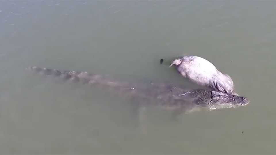 Three fishermen got more they bargained for when they set out for a day on the river. Source: Facebook