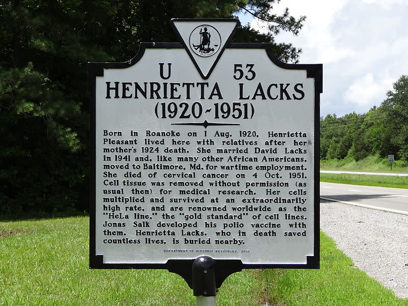 Placa conmemorativa en Clover, Virginia, el pueblo en que vivió Henrietta Lacks antes de mudarse a Baltimore a raíz de su boda. (Crédito imagen Wikipedia).